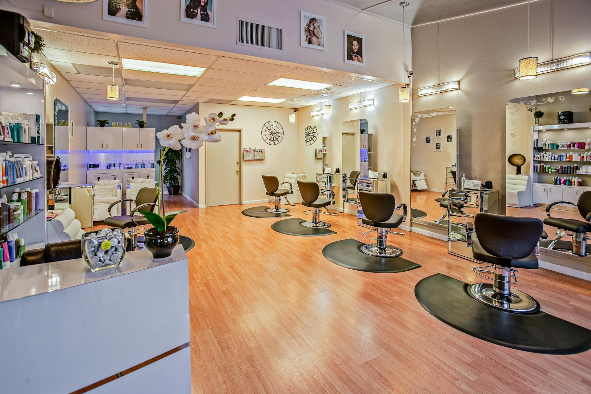 Outils de coiffure professionnels